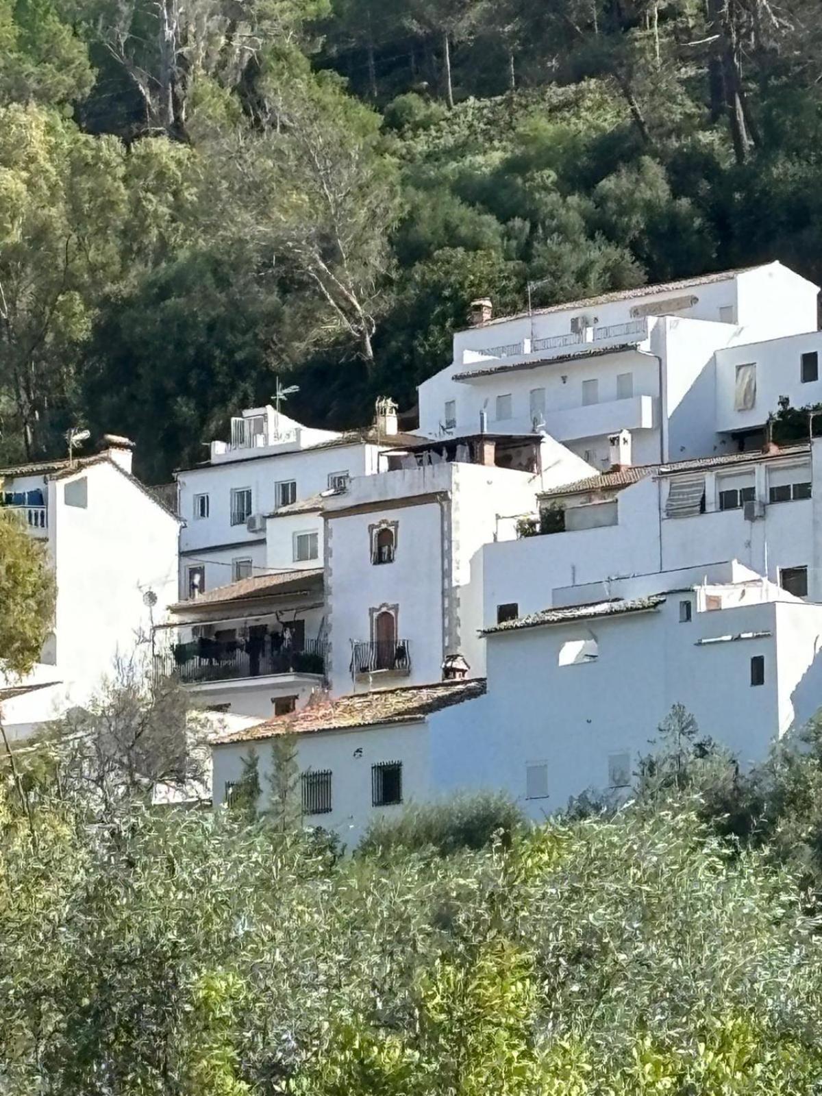 El Rincon De Las Higueras El Bosque Exterior foto
