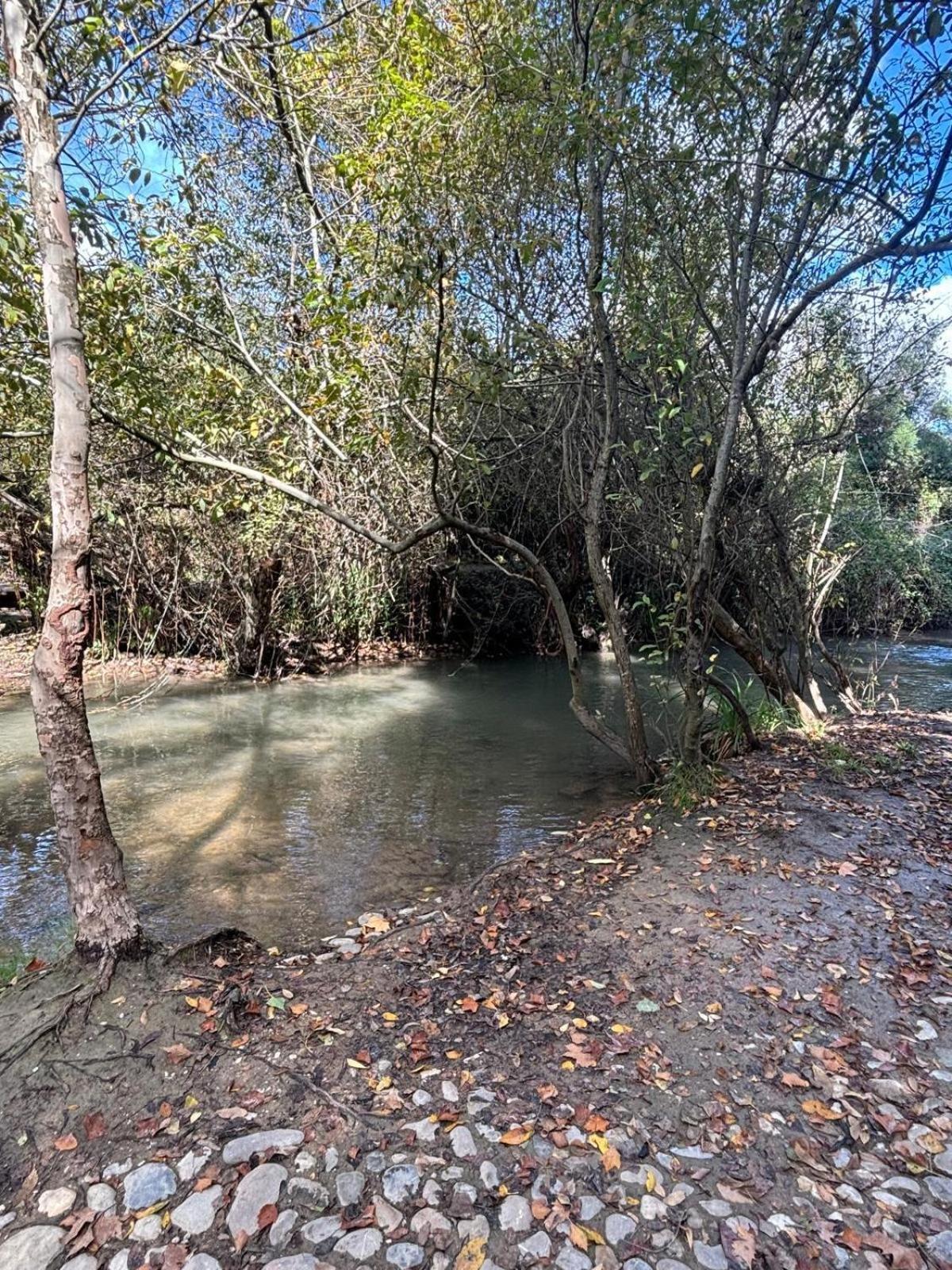 El Rincon De Las Higueras El Bosque Exterior foto